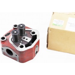 Головка циліндра R185N/R190N у зборі Viper