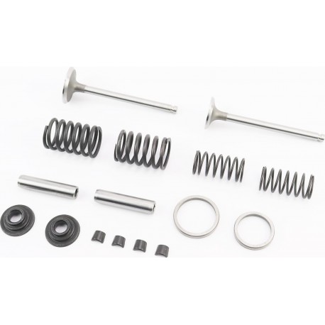 Клапана впускной (H-115/ D-39/ d-7,95), выпускной (H-115/ D-33/ d-7,95)+Клапанный механизм к-кт R185N/R190N/R192N Китай