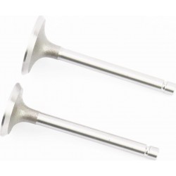 Клапани впускний (H-93/ D-40/ d-7,95), випускний (H-93/ D-34/ d-7,95) к-кт GZ195 Китай