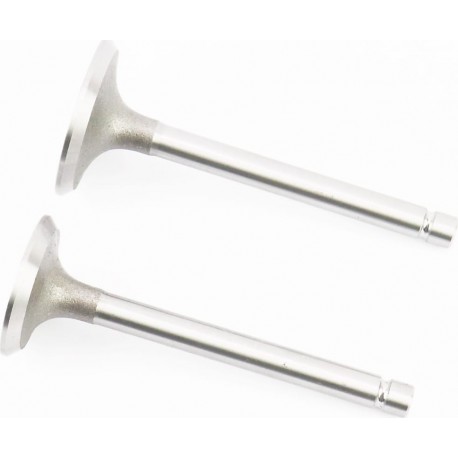 Клапани впускний (H-93/ D-40/ d-7,95), випускний (H-93/ D-34/ d-7,95) к-кт GZ195 Китай