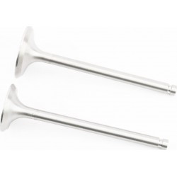 Клапана впускной (H-120/ D-42/ d-7,95), выпускной (H-120/ D-36/ d-7,95) к-кт R195NM Китай