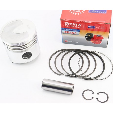 Поршень к-кт R195N 95мм STD (форкамера "Підкова") TATA