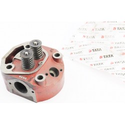 Головка циліндра R185N/R190N у зборі TATA