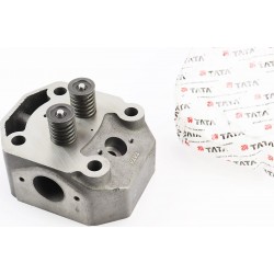 Головка циліндра R195NM у зборі TATA