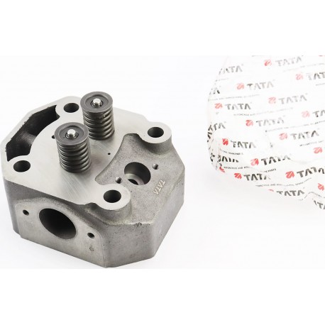 Головка цилиндра R195NM в сборе TATA