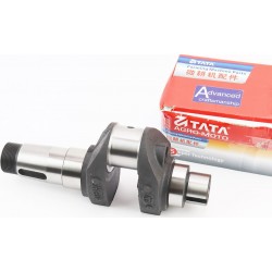 Коленвал R195NM (Dболта-М14x1,5, Dшейки-52мм, H-112мм) TATA