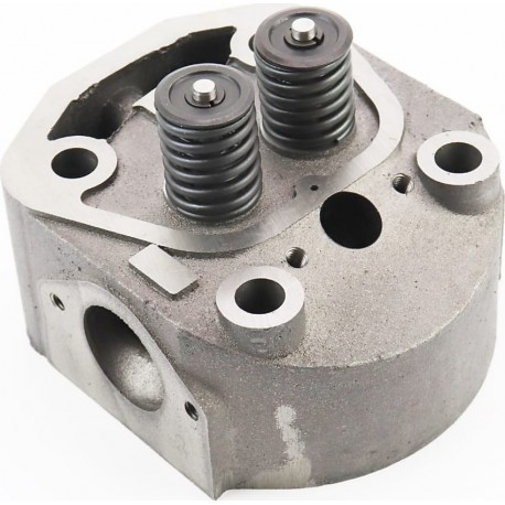 Головка циліндра R192N у зборі Китай