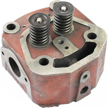 Головка циліндра R192N у зборі TATA