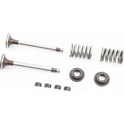 Клапани впускний, випускний к-кт 2шт+пружина-2шт+тарілка-2шт+сухар-4шт Китай