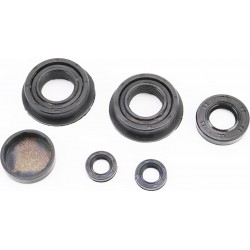 Сальники к-кт 5шт (13x22x5-2шт/ 20x38x8/ 25x47/54x13-2шт) редуктора+заглушка 38x10 Китай