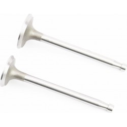 Клапана впускной (H-120/ D-42/ d-8,9), выпускной (H-120/ D-36/ d-8,9) к-кт ZS1100 Китай