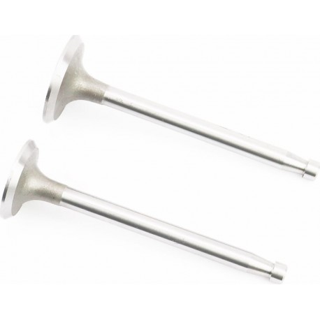 Клапана впускной (H-120/ D-42/ d-8,9), выпускной (H-120/ D-36/ d-8,9) к-кт ZS1100 Китай