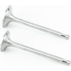 Клапани впускний (H-130/ D-47/ d-9), випускний (H-130/ D-42/ d-9) к-кт ZH1115 TATA