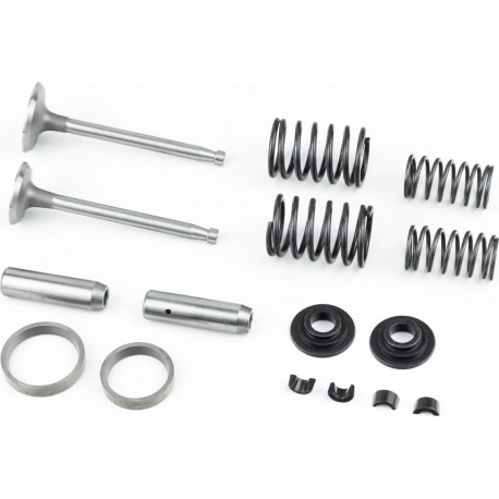 Клапанный механизм к-кт ZS1105, ZUBR-Z-250 Viper