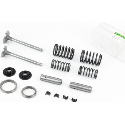 Клапана впускной (H-120/ D-42/ d-8,9), выпускной (H-120/ D-36/ d-8,9) к-кт ZS1100+пружина-4шт Viper