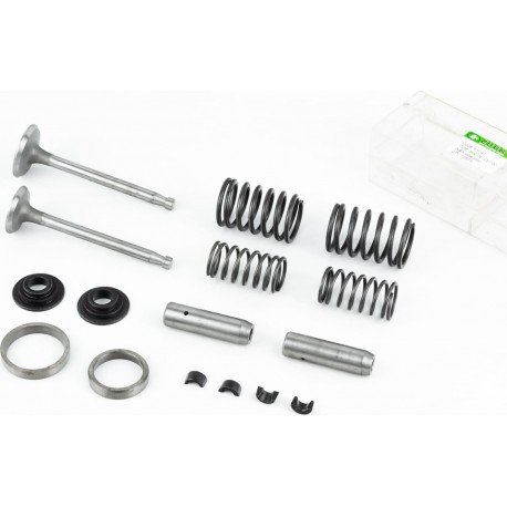 Клапани впускний (H-120/ D-42/ d-8,9), випускний (H-120/ D-36/ d-8,9) к-кт ZS1100 Viper