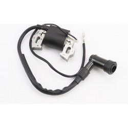 Котушка запалювання 1P65F Китай