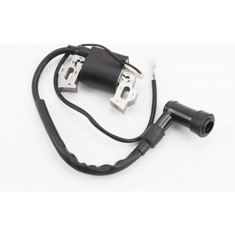 Котушка запалювання 1P65F Китай