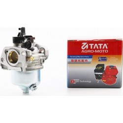 Карбюратор 1P65F/1P70F TATA