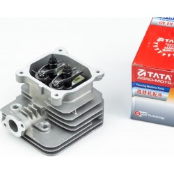 Головка цилиндра в сборе 1P70F 70мм TATA