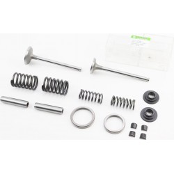 Клапани впускний (H-120/ D-42/ d-7,95), випускний (H-120/ D-36/ d-7,95)+клапанний механізм к-кт R195NM Viper