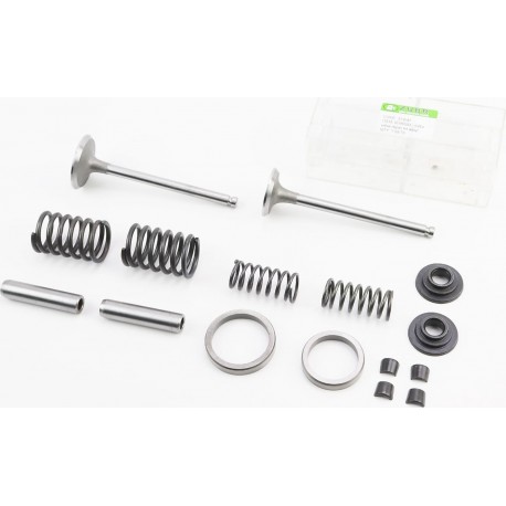 Клапани впускний (H-120/ D-42/ d-7,95), випускний (H-120/ D-36/ d-7,95)+клапанний механізм к-кт R195NM Viper