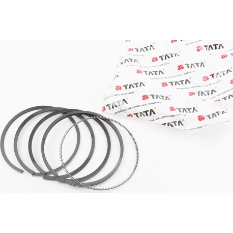 Кольца поршневые R195N 95мм STD TATA