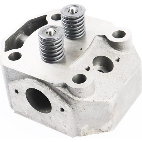 Головка циліндра R195NM у зборі тип 2 Китай