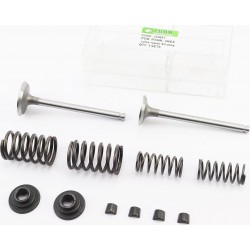 Клапана впускной (H-115/ D-39/ d-7,95), выпускной (H-115/ D-33/ d-7,95)+Клапанный механизм к-кт R185N/R190N/R192N Viper