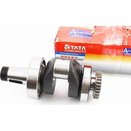 Колінвал R195NM (Dболта-М12x1,5, Dшейки-52мм, H-112мм) +підшипники+шестерня, запресований TATA