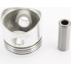 Поршень к-кт 80мм STD TATA