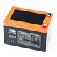 Акумулятор 12V12Ah 6DZM12 кислотний (L150*W101*H99мм) для ДБЖ, іграшок та ін. OUTDO