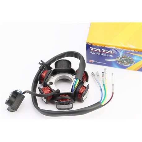 Статор магнето (генератора) (6 катушек "5 проводов") TATA
