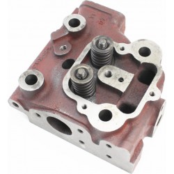 Головка циліндра GZ195 у зборі Китай