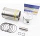 Поршнева R180NM к-кт, поршень 80мм STD (форкамера "Підкова") +гільза +манжети Viper