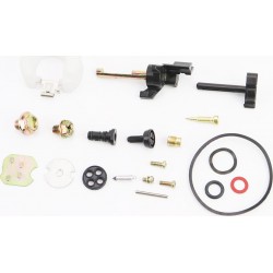 Ремонтный комплект карбюратора, 21 деталь+поплавок 168F/170F Viper