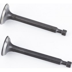 Клапана впускной (H-62,5/ D-21/ d-5,45), выпускной (H-63/ D-19/ d-5,45) к-кт 2шт 156F/1P65F Китай