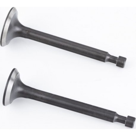 Клапани впускний (H-62,5/ D-21/ d-5,45), випускний (H-63/ D-19/ d-5,45) к-кт 2шт 156F/1P65F Китай