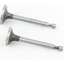 Клапана впускной (H-62/ D-24/ d-5,45), выпускной (H-62/ D-21/ d-5,45) к-кт 2шт 156F/1P65F Китай