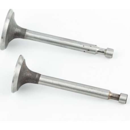 Клапана впускной (H-62/ D-24/ d-5,45), выпускной (H-62/ D-21/ d-5,45) к-кт 2шт 156F/1P65F Китай