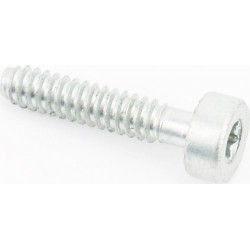 Болт кришки (піддона) циліндра IS D5x24, оригінал (90754784159) Штиль