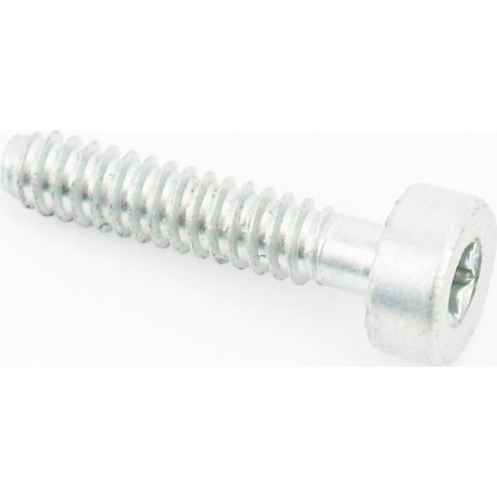 Болт крышки (поддона) цилиндра IS D5x24, оригинал (90754784159) Штиль