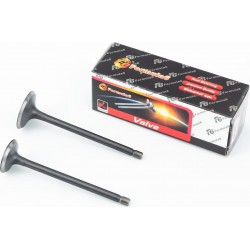 Клапана выпускной (H-91,5/ D-25), впускной (H-92/ D-30) к-кт 2шт 150сc Formula