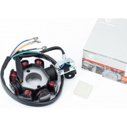 Статор магнето (генератора) (8 катушек "5 проводов") TATA