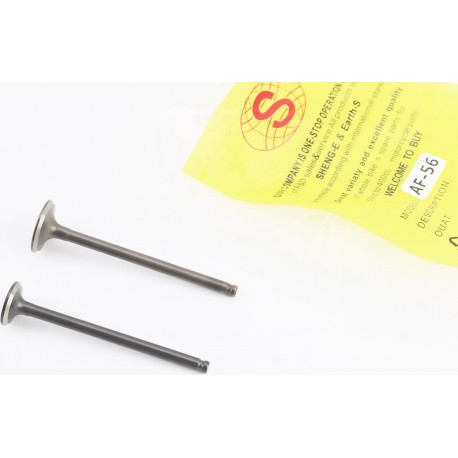 Клапана впускний (H-73,5/ D-20), випускний-немагнітний (H-72,8/ D-16) к-кт 2шт, Honda AF-56 SEE