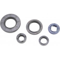 Сальники к-кт 5шт (10x18x6/ 12x18x5/ 12x21x4/ 20x30x4,5/ 20x38x5) двигателя Китай