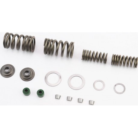 Клапанний рем. к-кт (пружини, сухарі, тарілки) CB-250cc Китай