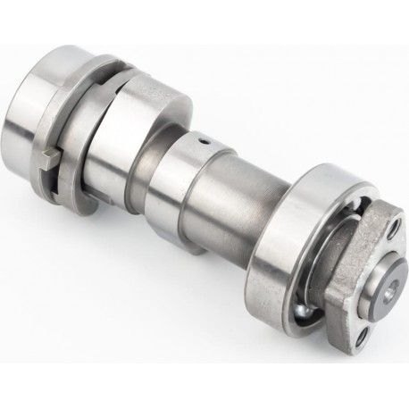 Tekken 300/CRF-250 New Розподільний вал+підшипник 172/175Fмм Zongshen PR Китай