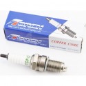 Свеча 4Т D8TC M12-L19 CG/CB/CH250/YP250 TORCH