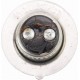 Лампа фары P15D-25-1 12V 35/35W CYT